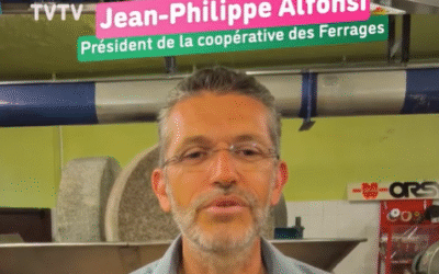 Ramassons les olives !