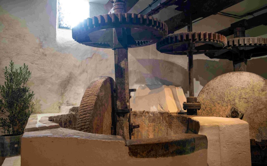 Présentation du projet de reprise du Moulin d&rsquo;Opio