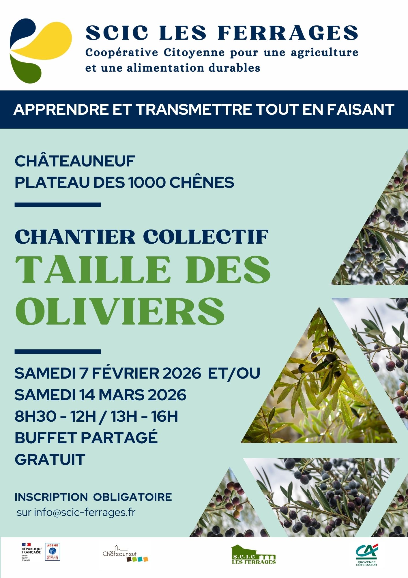 Chantier collectif taille des oliviers 2026