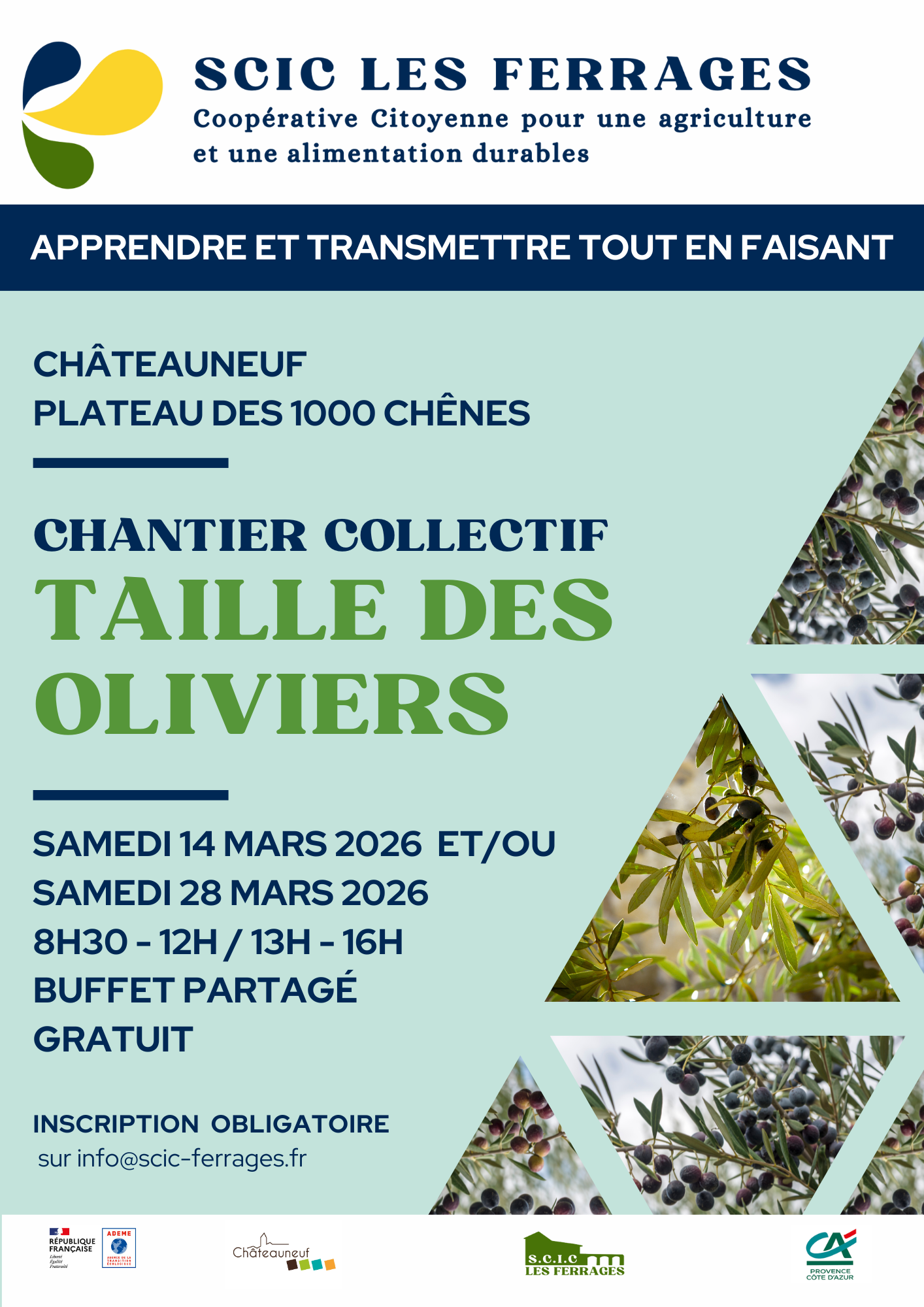 Chantier collectif - taille des oliviers 2026 - SCIC Les Ferrages
