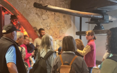Au Moulin d&rsquo;Opio, les visites guidées et dégustations pour les groupes sont lancées !