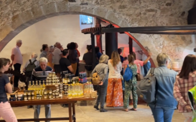 Visite/découverte gratuite du Moulin d’Opio